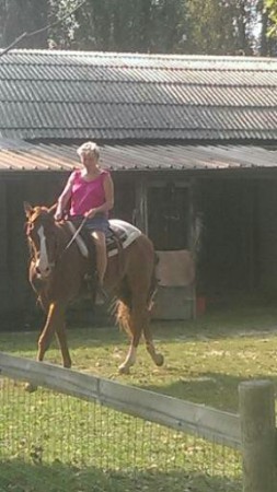 IRENE I^ volta su Sultan